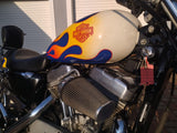 2004 Harley-Davidson Sportster Custom